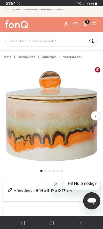 	HKliving 70's Cookie Jar Voorraadpot Ø 17 cm - Burst