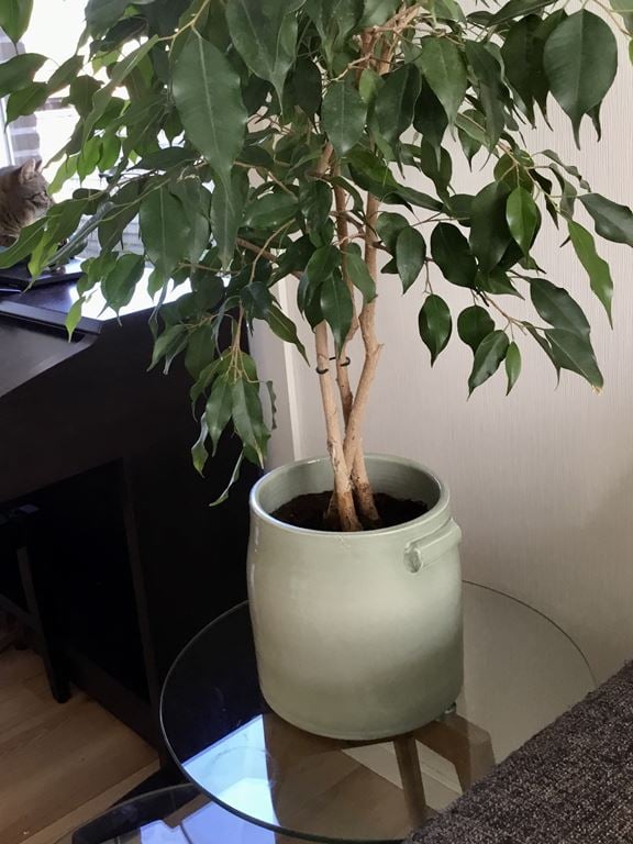 Serax Tabor Pot M/Ø 25 cm