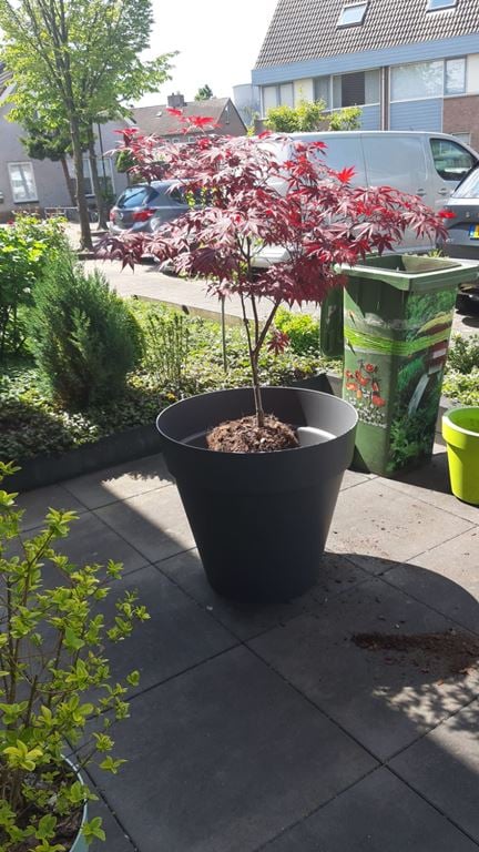 elho Loft Urban Round Bloempot 70 cm