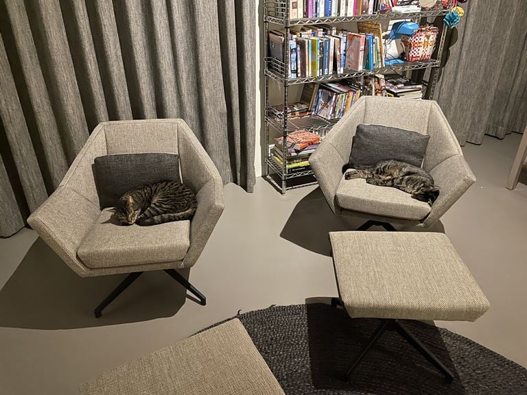 Zuiver Uncle Jesse Fauteuil