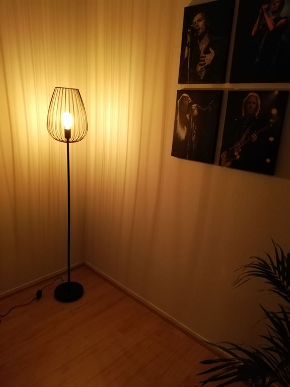 EGLO Newtown Vloerlamp