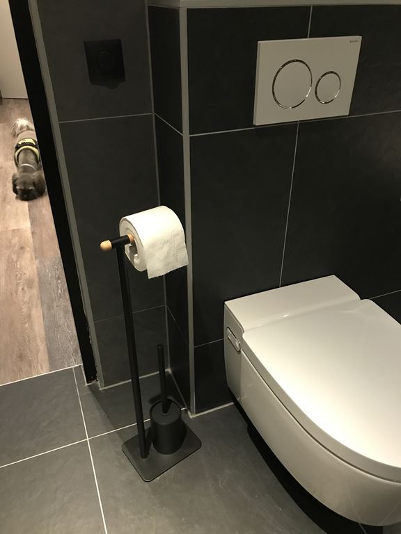 Sealskin Brix Toiletbutler Zwart