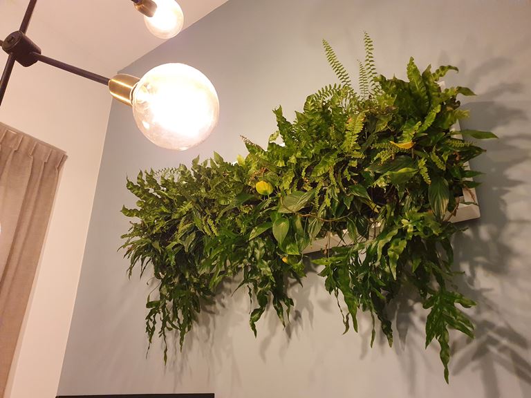 D&M KAROO verticale tuin met potgrond - wit