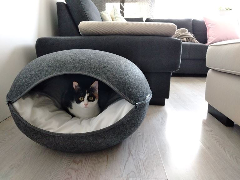 Beeztees Innu Katteniglo