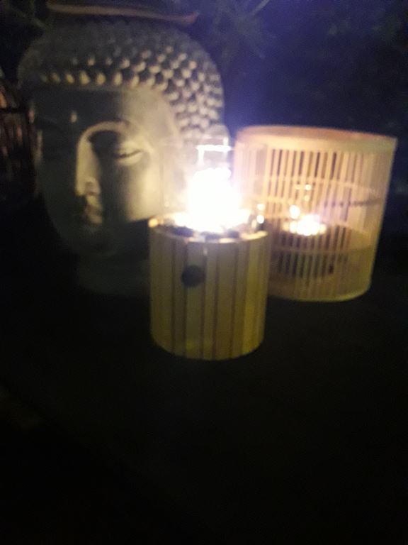 Cosi Cosiscoop Timber