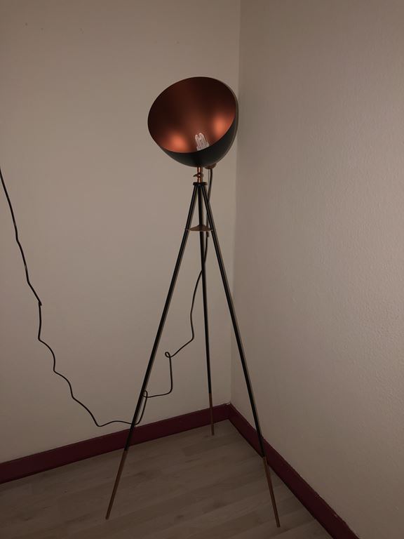 EGLO Chester Vloerlamp
