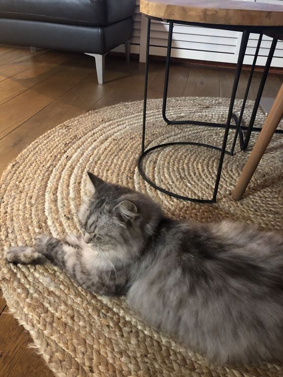 Kave Home Samy Vloerkleed Ø 150 cm