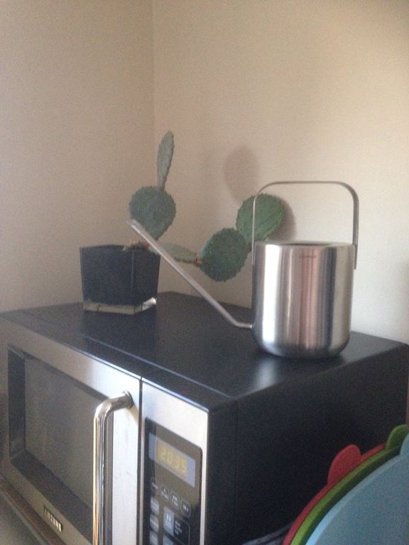 Blomus Planto Gieter 1,5 L