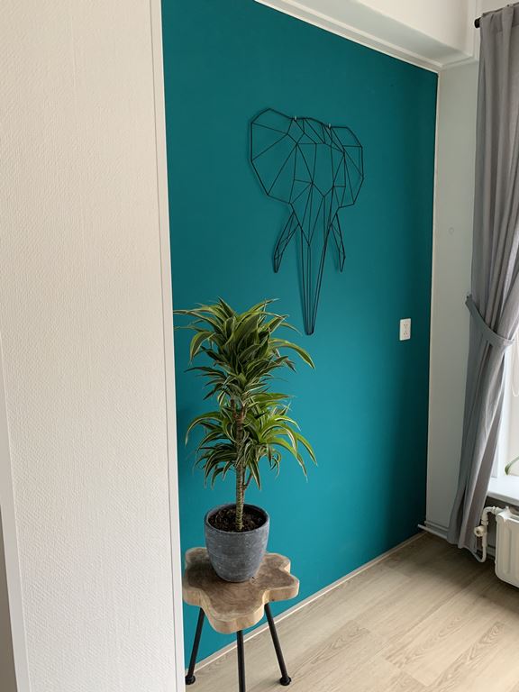 present time Linea Olifant Memobord