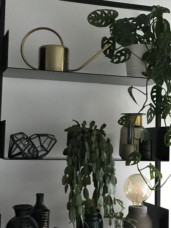 Kikkerland Vintage Gieter