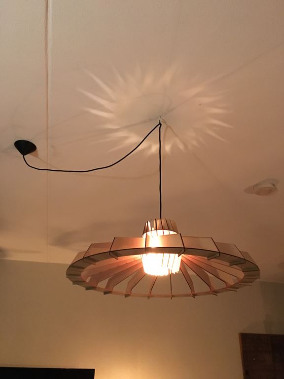 Van Tjalle en Jasper Nikolamp Tesla Hanglamp