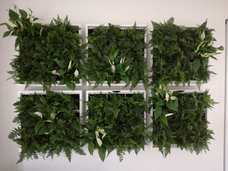D&M KAROO verticale tuin met potgrond - wit