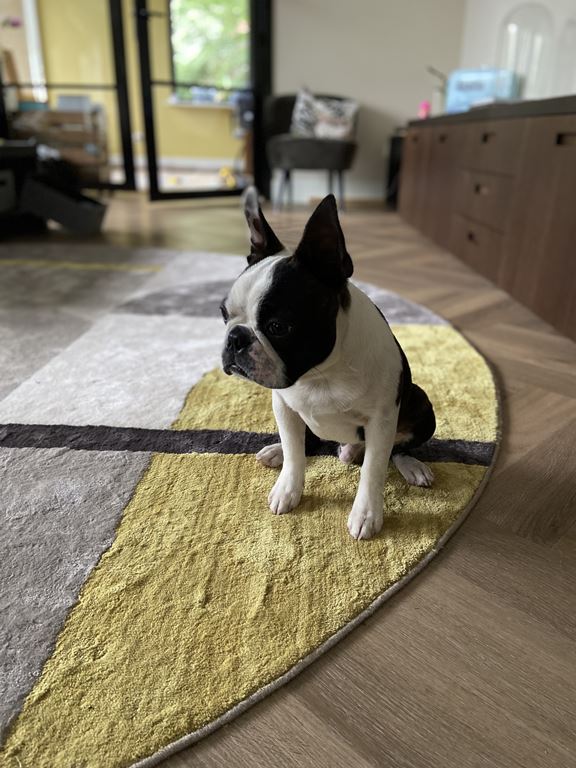 Zuiver Hilton Vloerkleed  Ø 240 cm - Geel