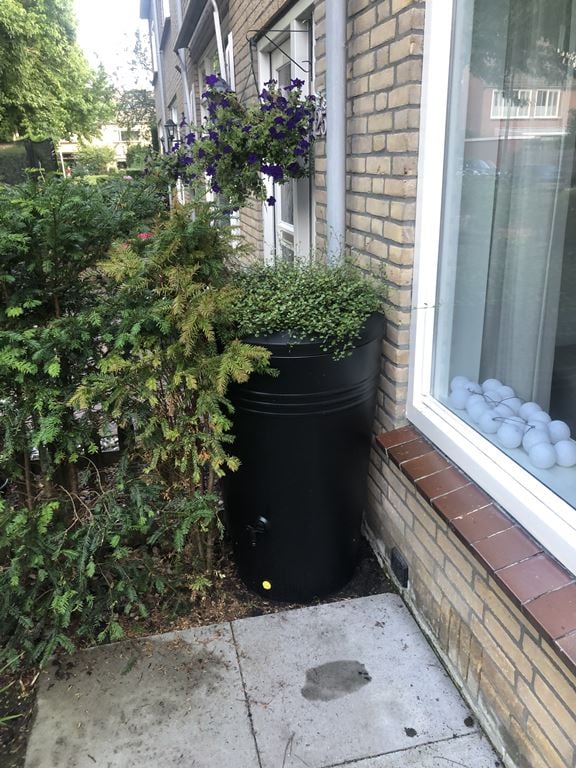 Elho Green Basics Regenton 200 L