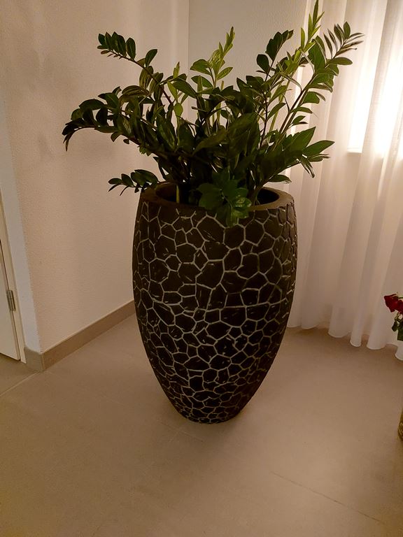 Capi Europe Nature Clay Vaas Deluxe 72 cm