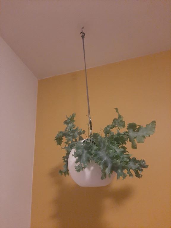 Elho B.For Soft Air Bloempot 18 cm Wit