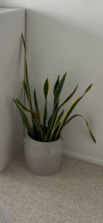 Serax Tabor Pot M/Ø 25 cm