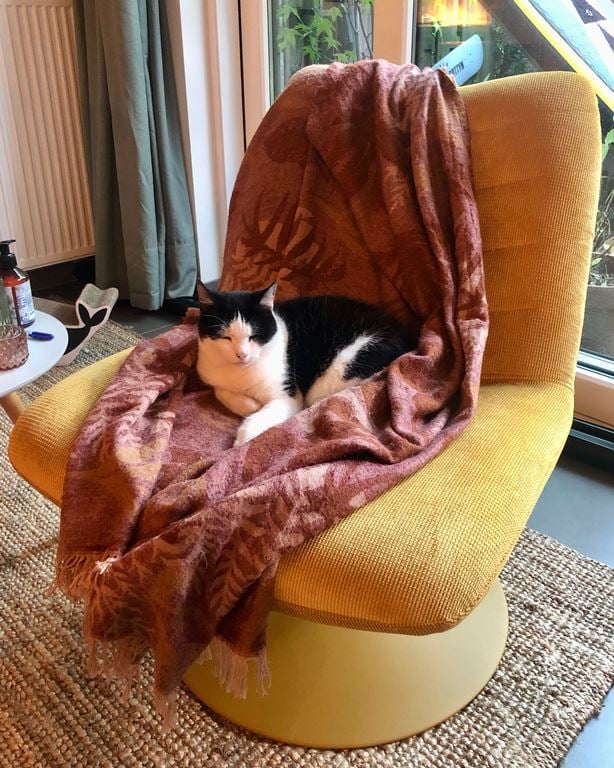 Zuiver Bubba Fauteuil - Okergeel