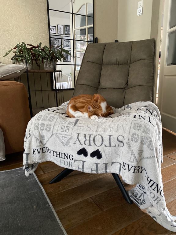 WOOOD Jouke Fauteuil