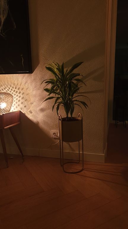 OYOY Maki Plantenstandaard High - Clay