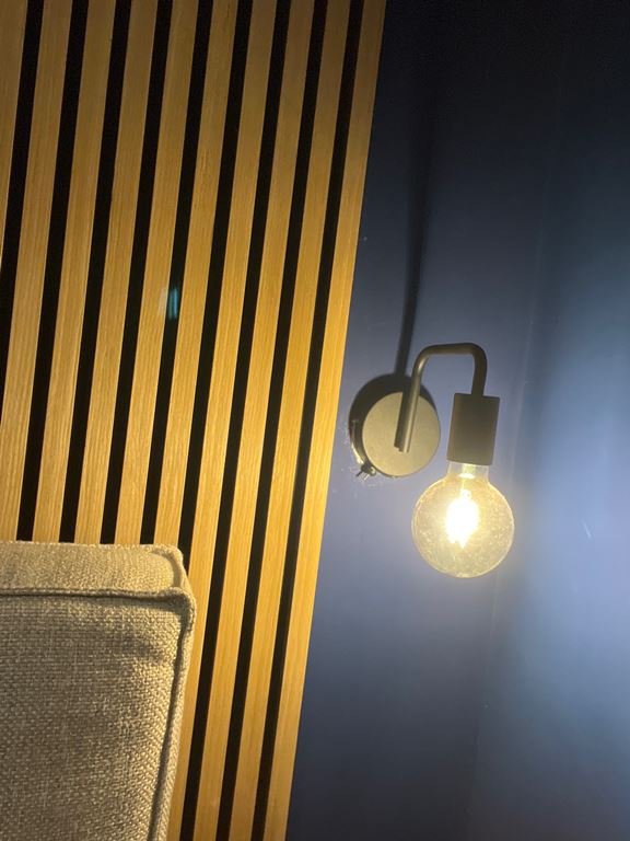 TRIO Diallo Wandlamp