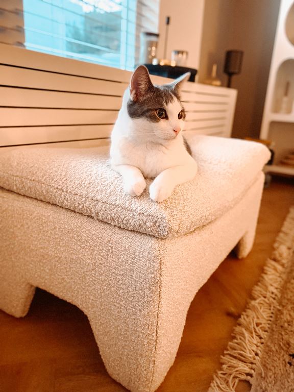HKliving Retro Lounge Hocker