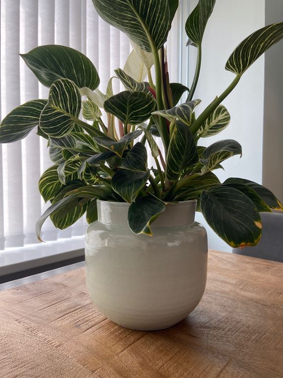 Serax Bloempot M - Groen