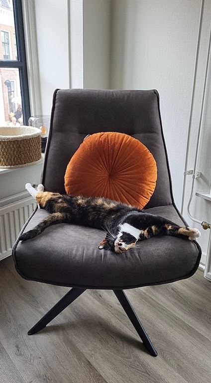 Woood Skyler Fauteuil
