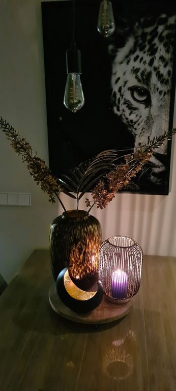 Vase The World Artic Cheetah Vaas M