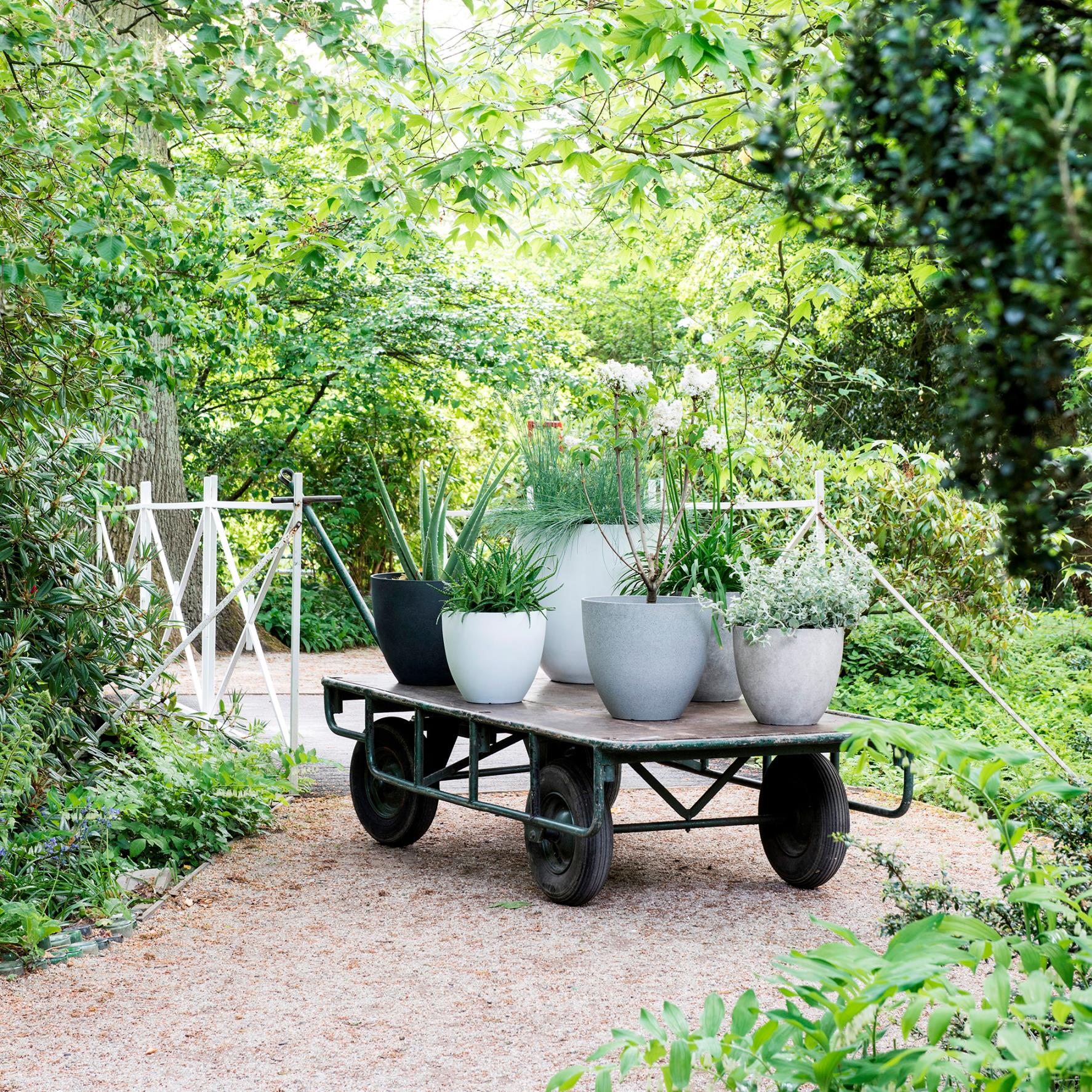 Mica Decorations Bravo Bloempot 