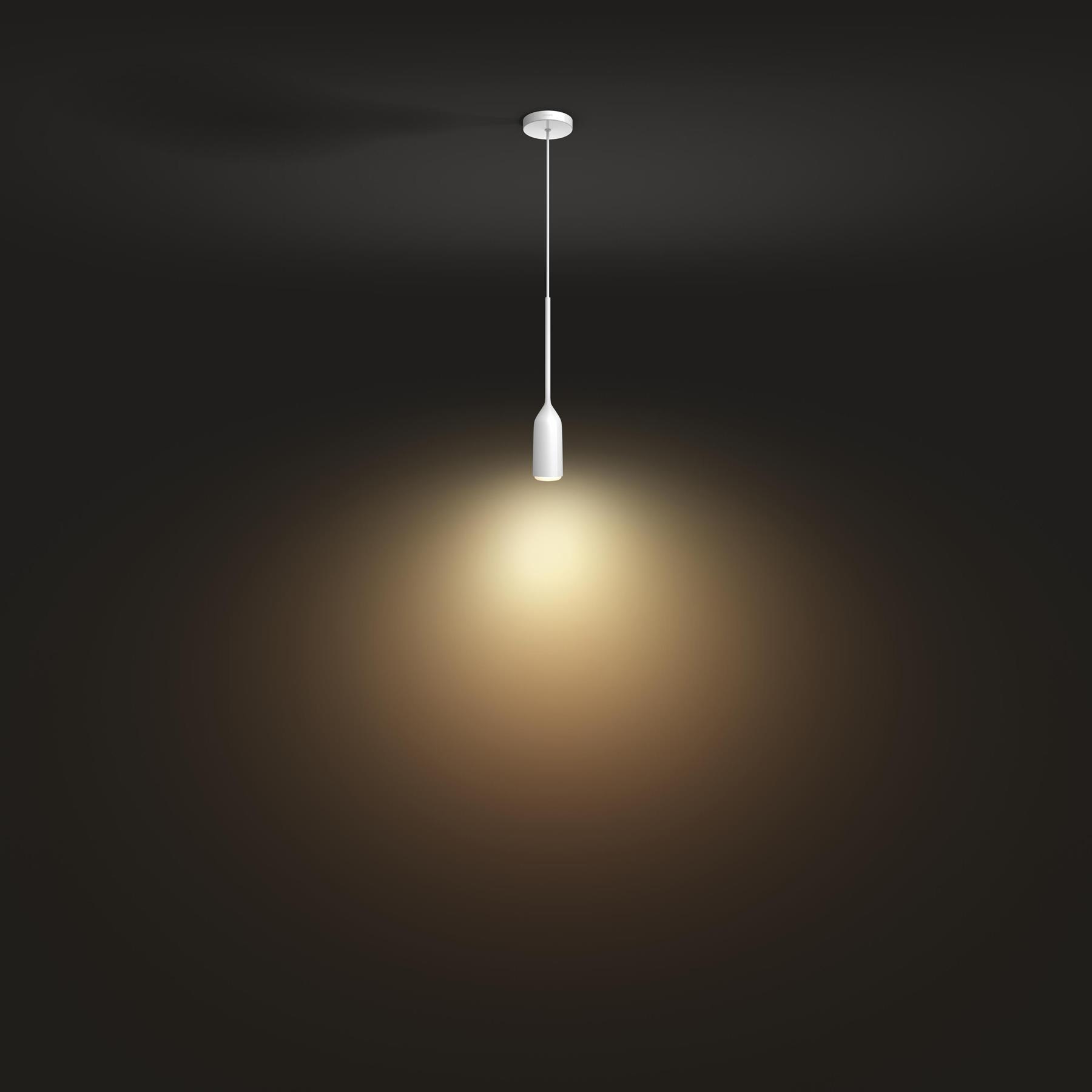 Philips Hue Devote Hanglamp - incl. dimmer switch