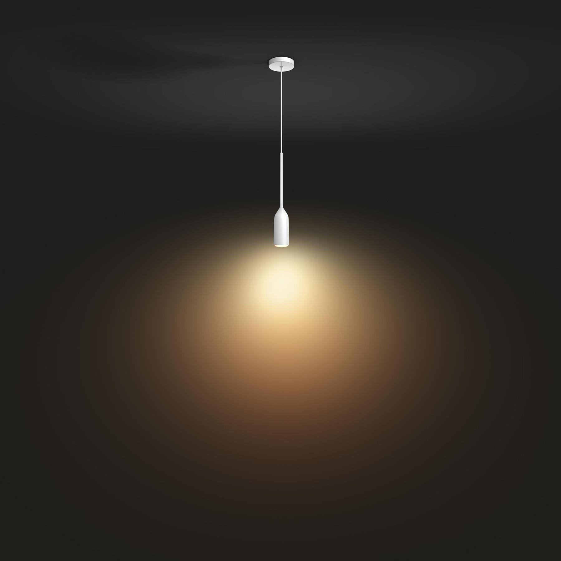 Philips Hue Devote Hanglamp - incl. dimmer switch