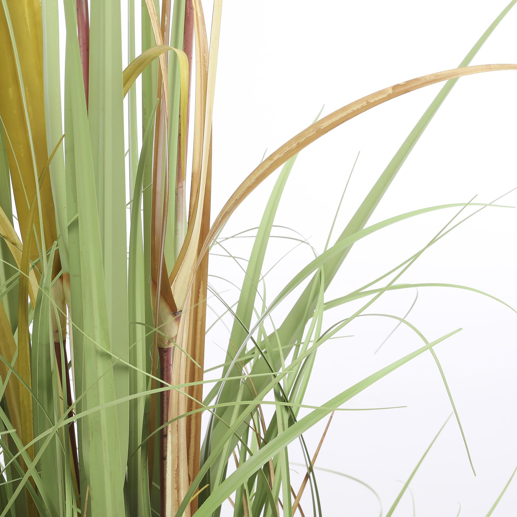 Mica Decorations Pluimgras Foxtail Kunstplant H120 cm Groen