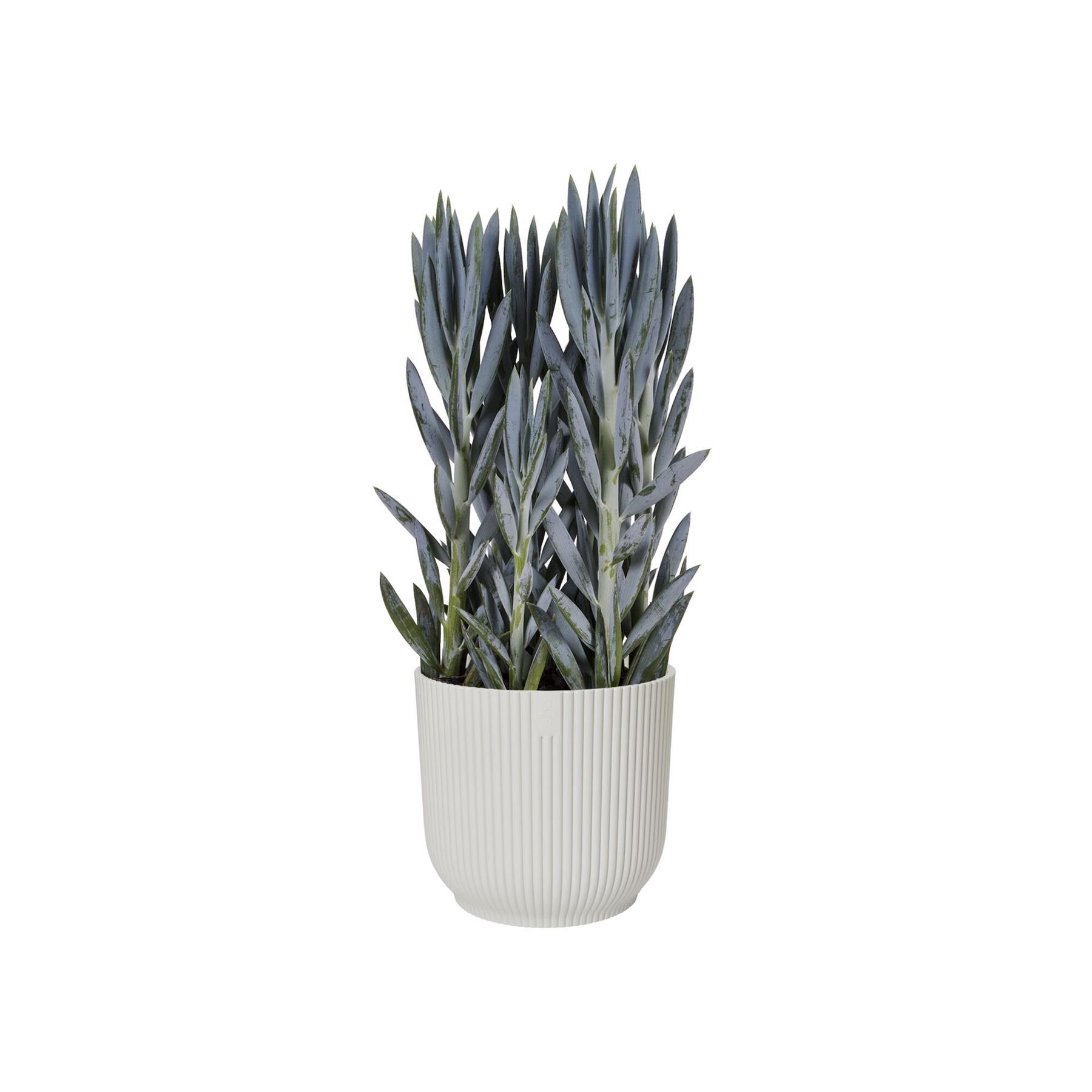 elho Vibes Fold Bloempot Ø 25 cm