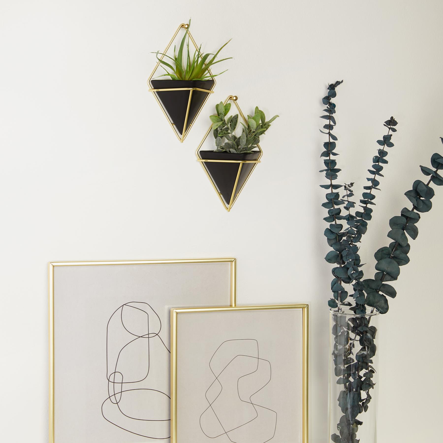 Umbra Trigg Wandhouder en Bloempot