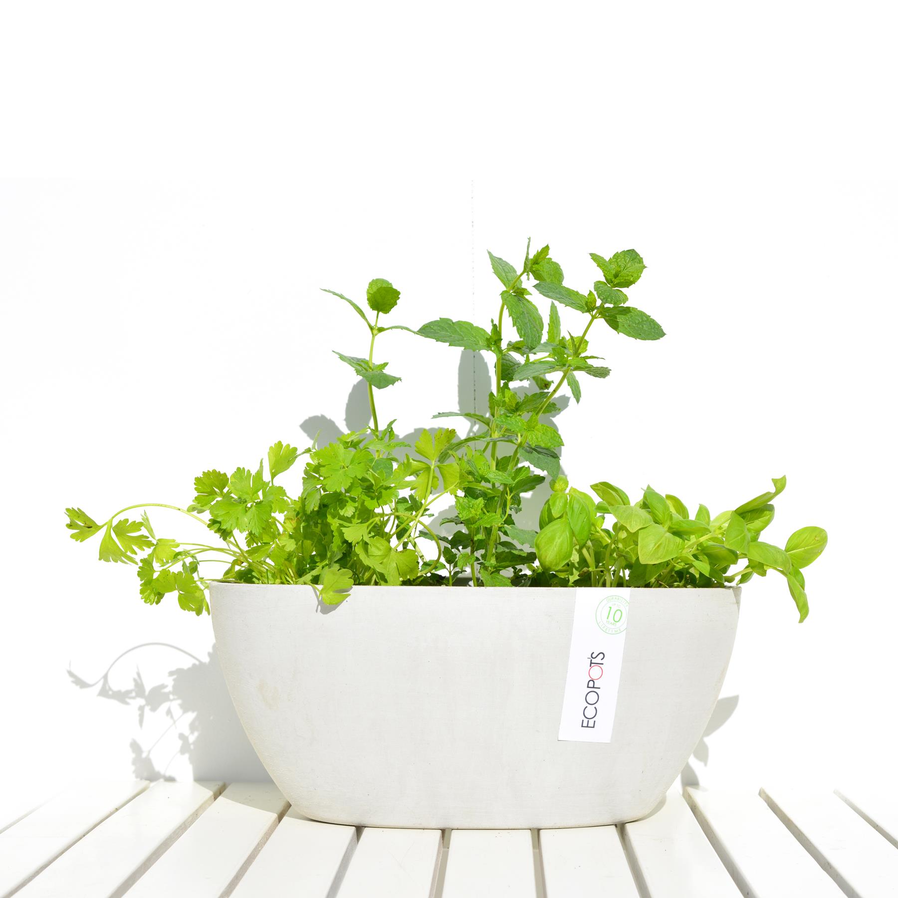 Ecopots Sofia 30