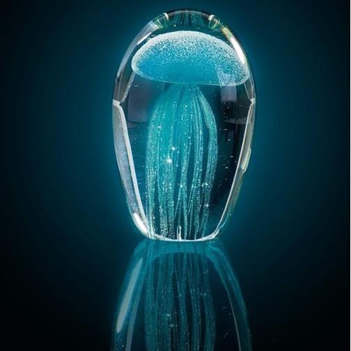 Leonardo Jellyfish Ornament 11 x 7 cm
