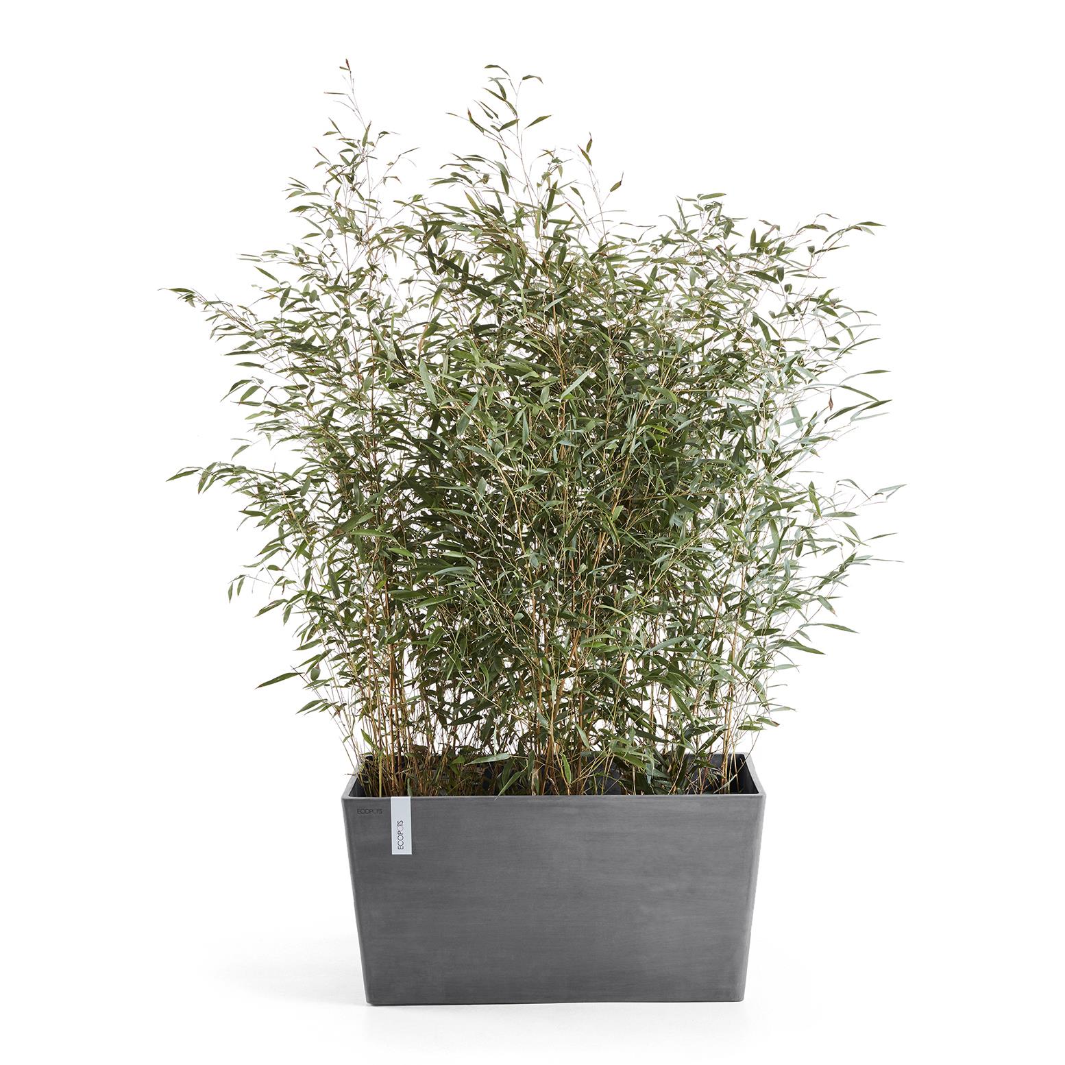 Ecopots Paris 100
