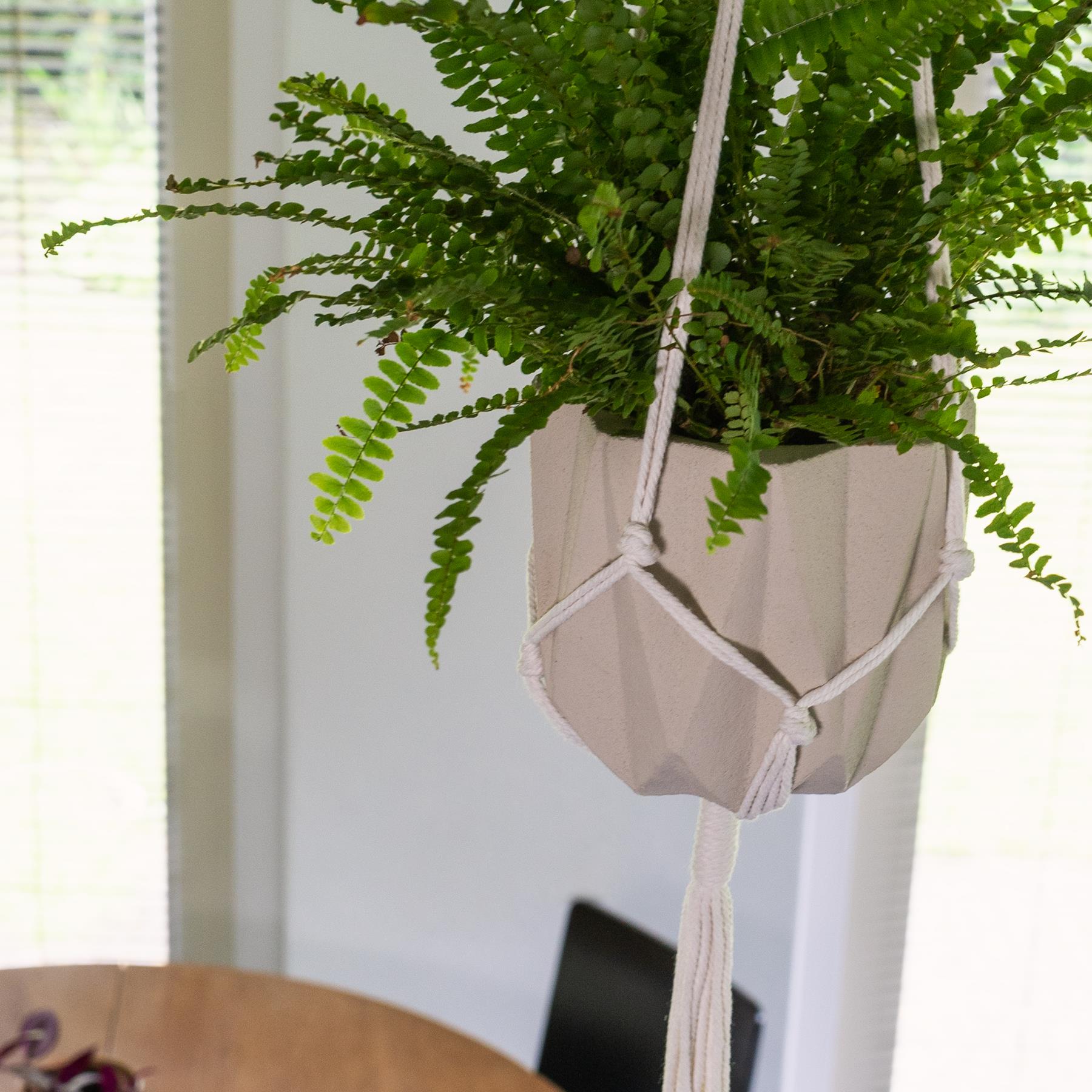 QUVIO Plantenhanger gevlochten touw - Wit