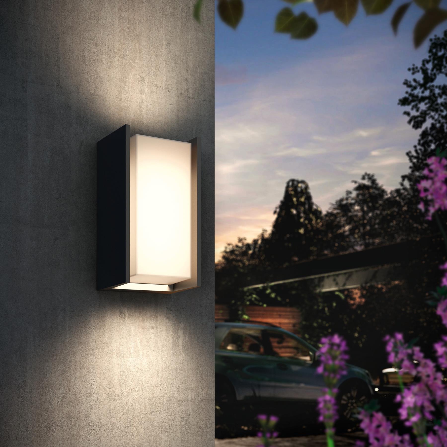 Philips Hue White Turaco Wandlamp