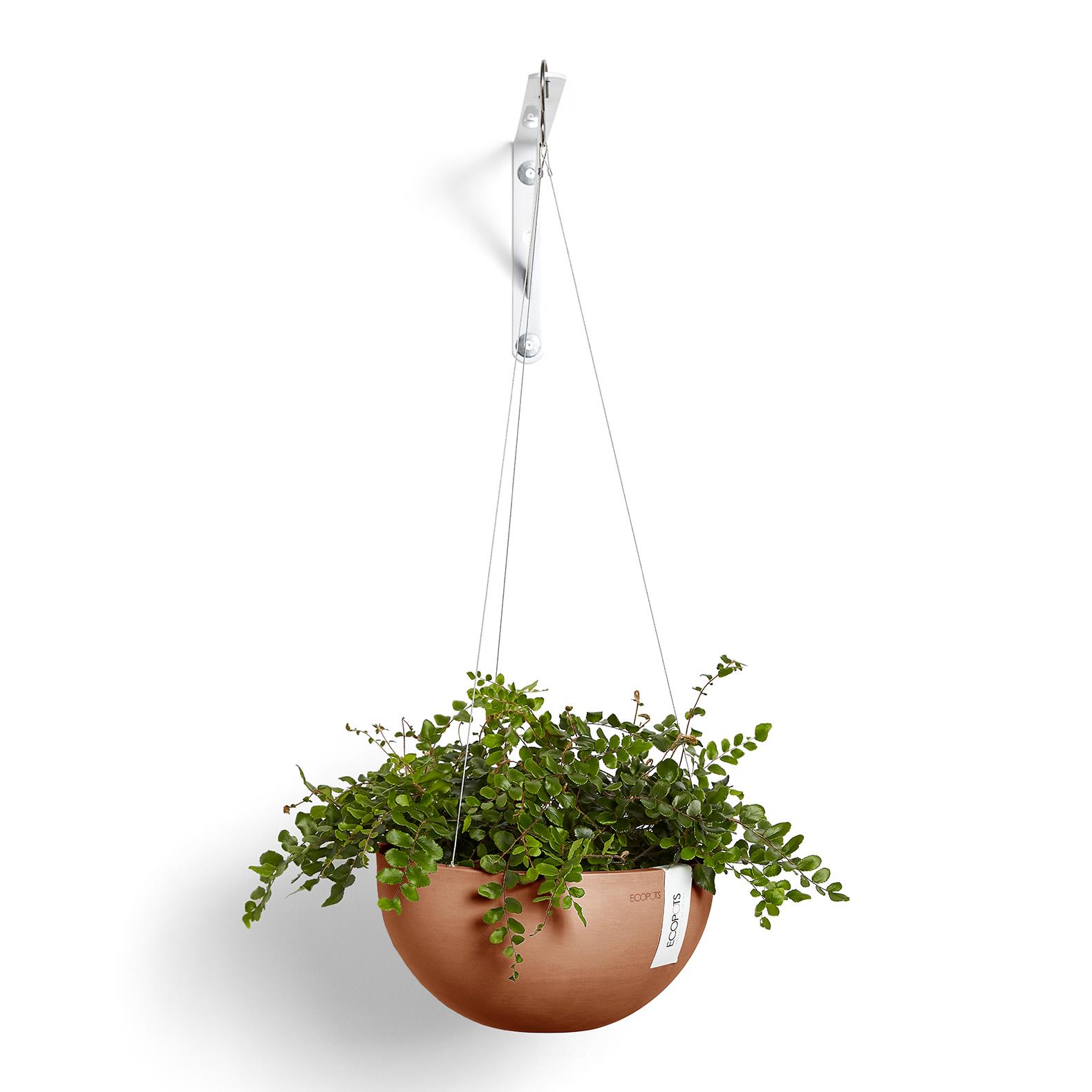 Ecopots Hanging Brussels