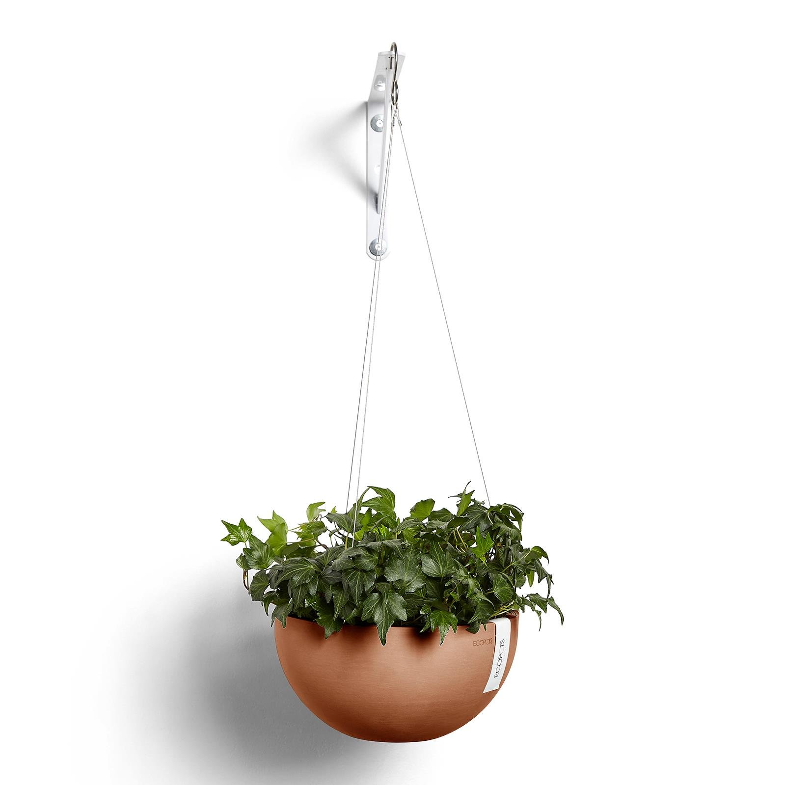 Ecopots Hanging Brussels
