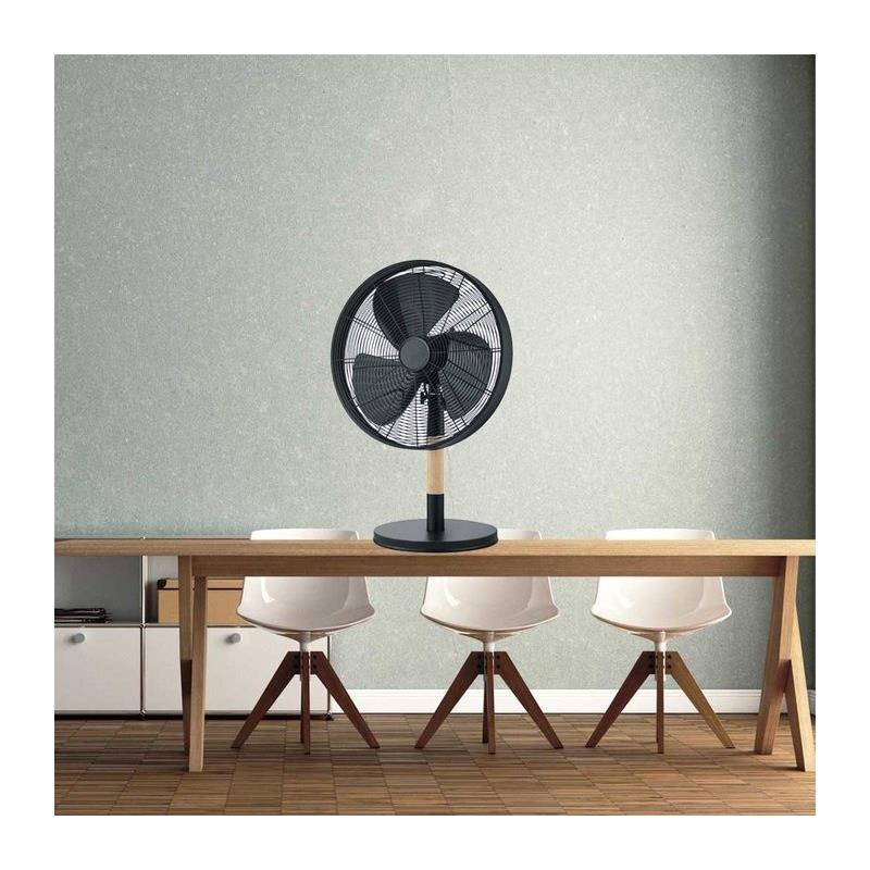 Reality Leuchten Staande Ventilator Viking Black 35cm