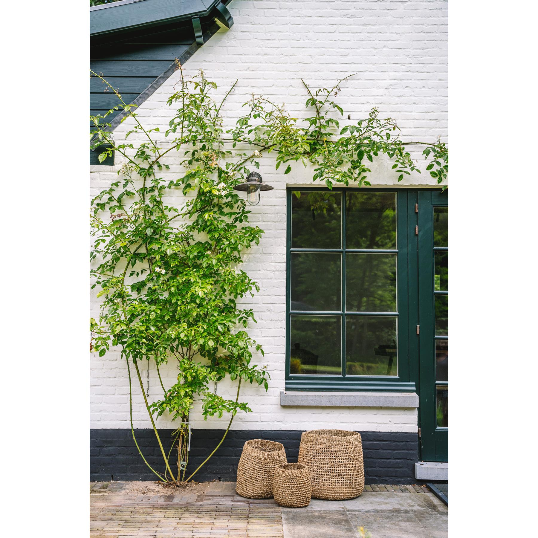 Bazar Bizar - De Lang Co Mand - Naturel - M