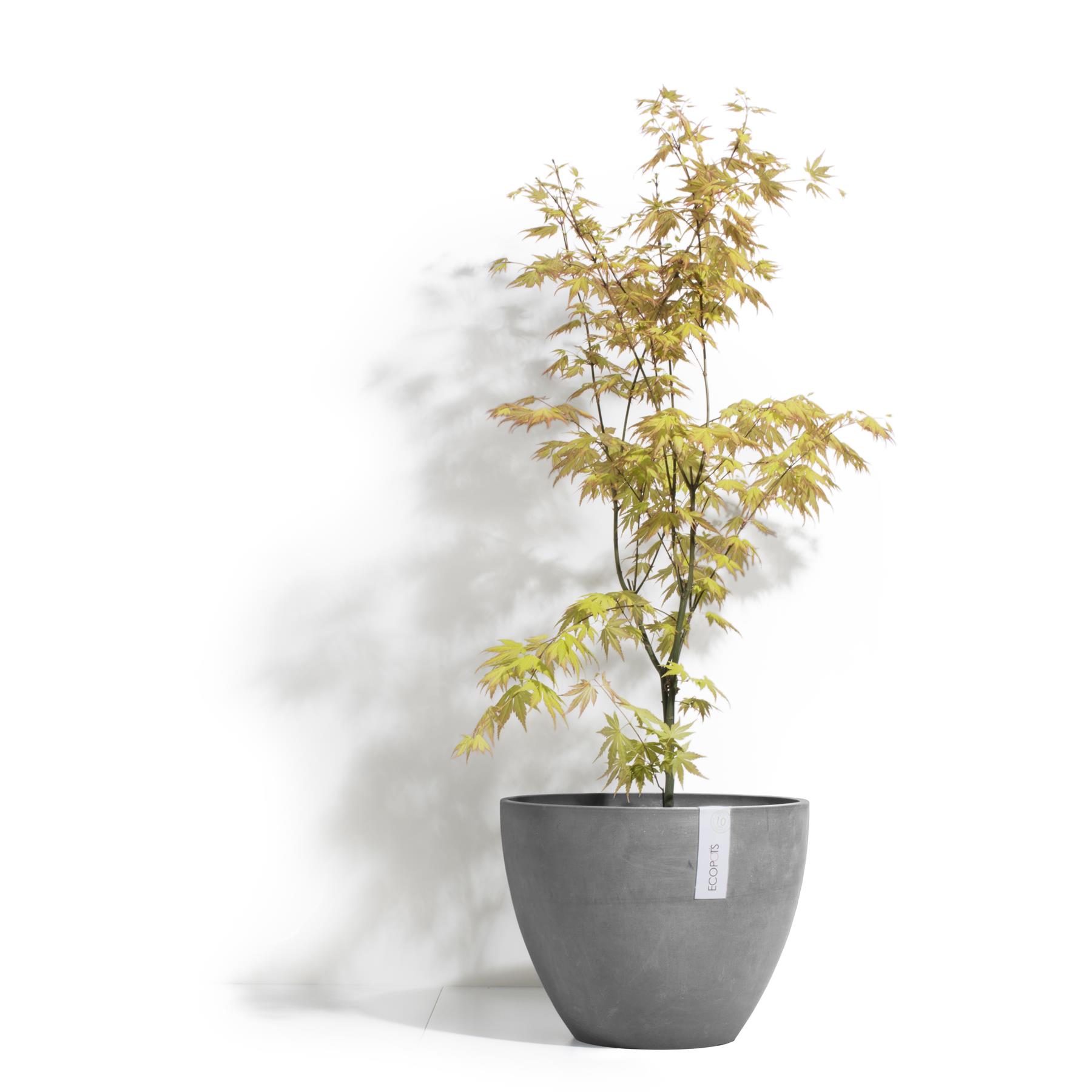 Ecopots Antwerp 40