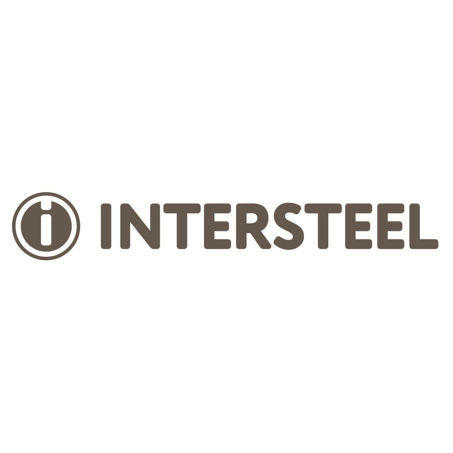 Intersteel Veiligheidsbeslag met kerntrekbeveiliging SKG***