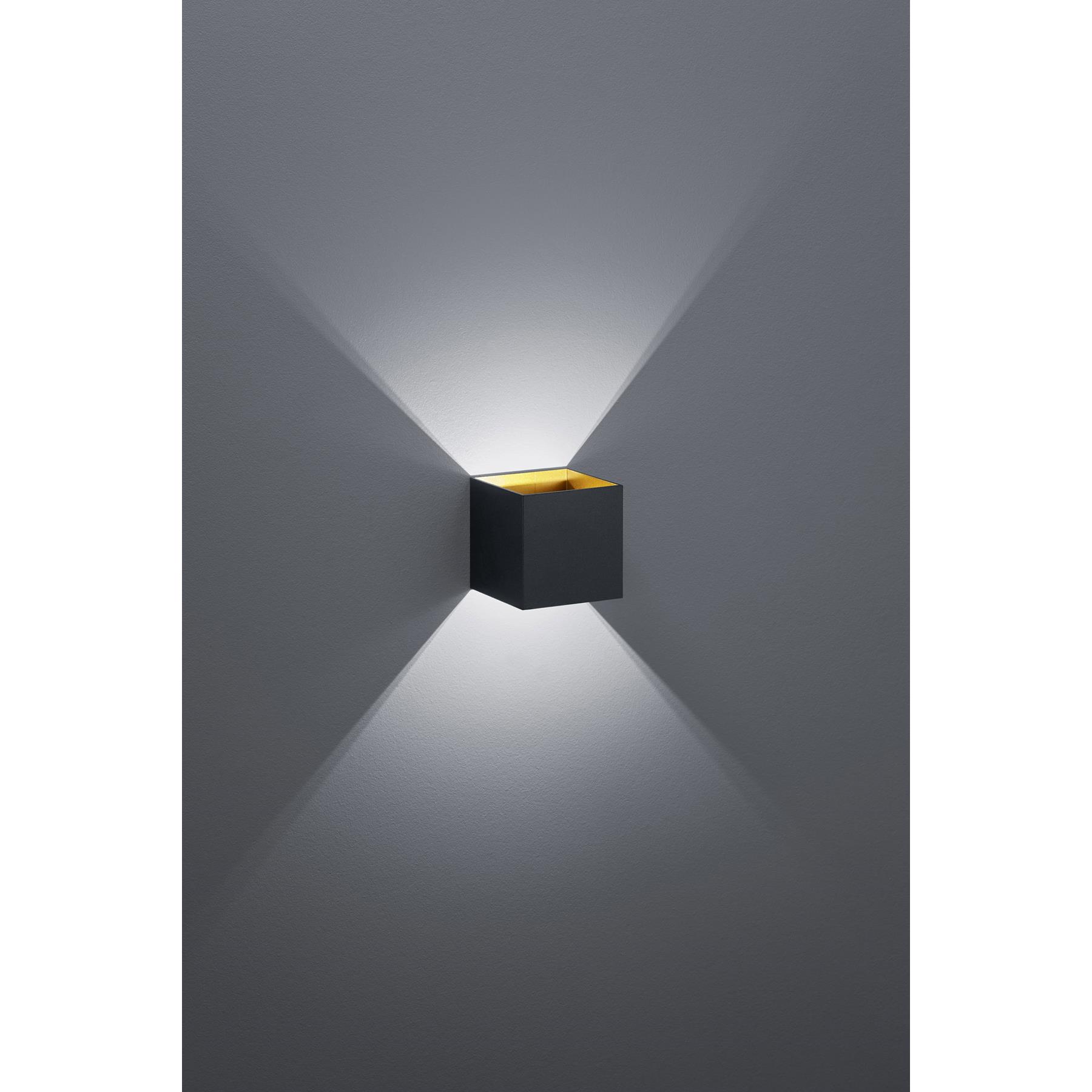Trio Leuchten Louis Wandlamp SMD Led 4W Zwart