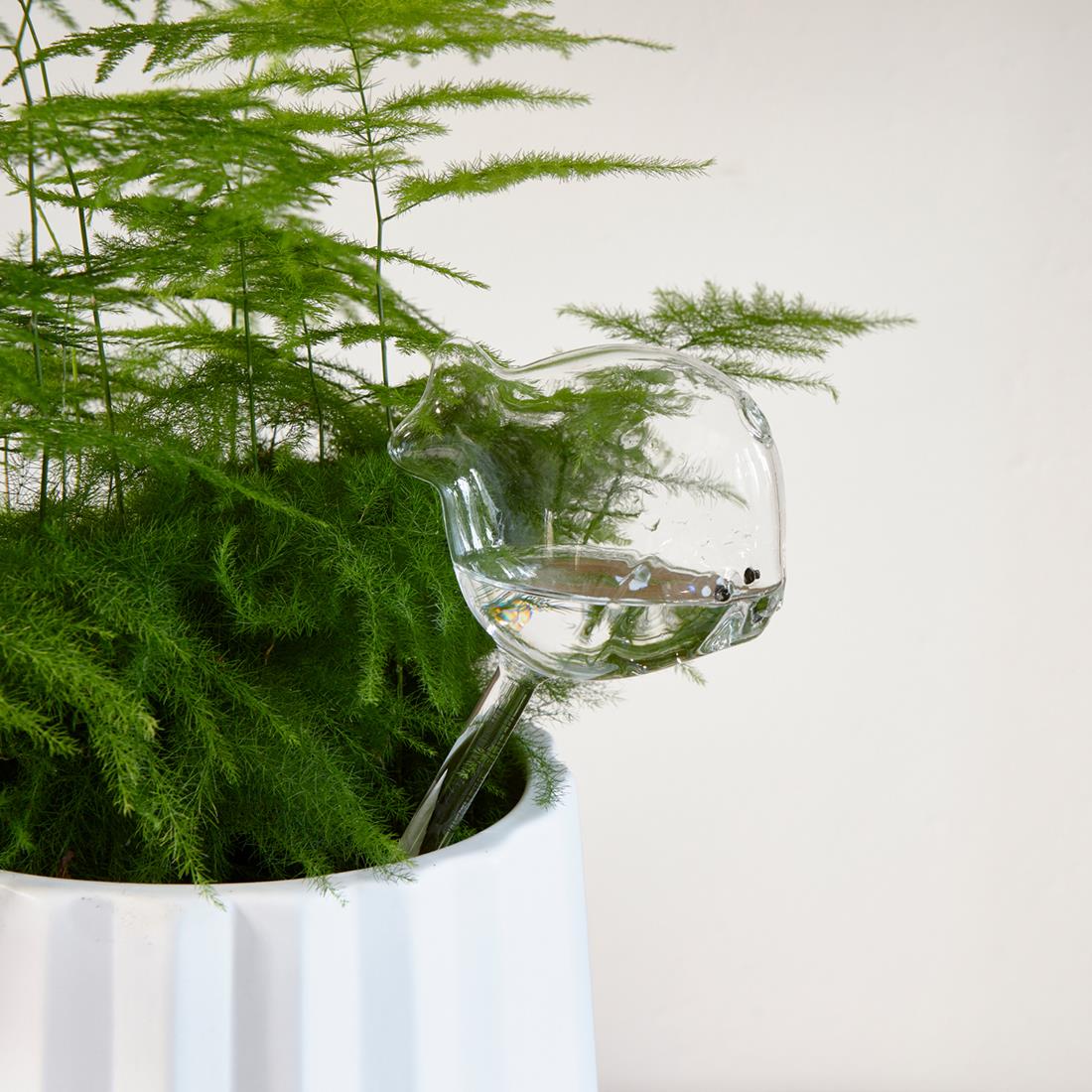 Riviera Maison waterdruppelaar voor planten, vorm van vis - Fish Water