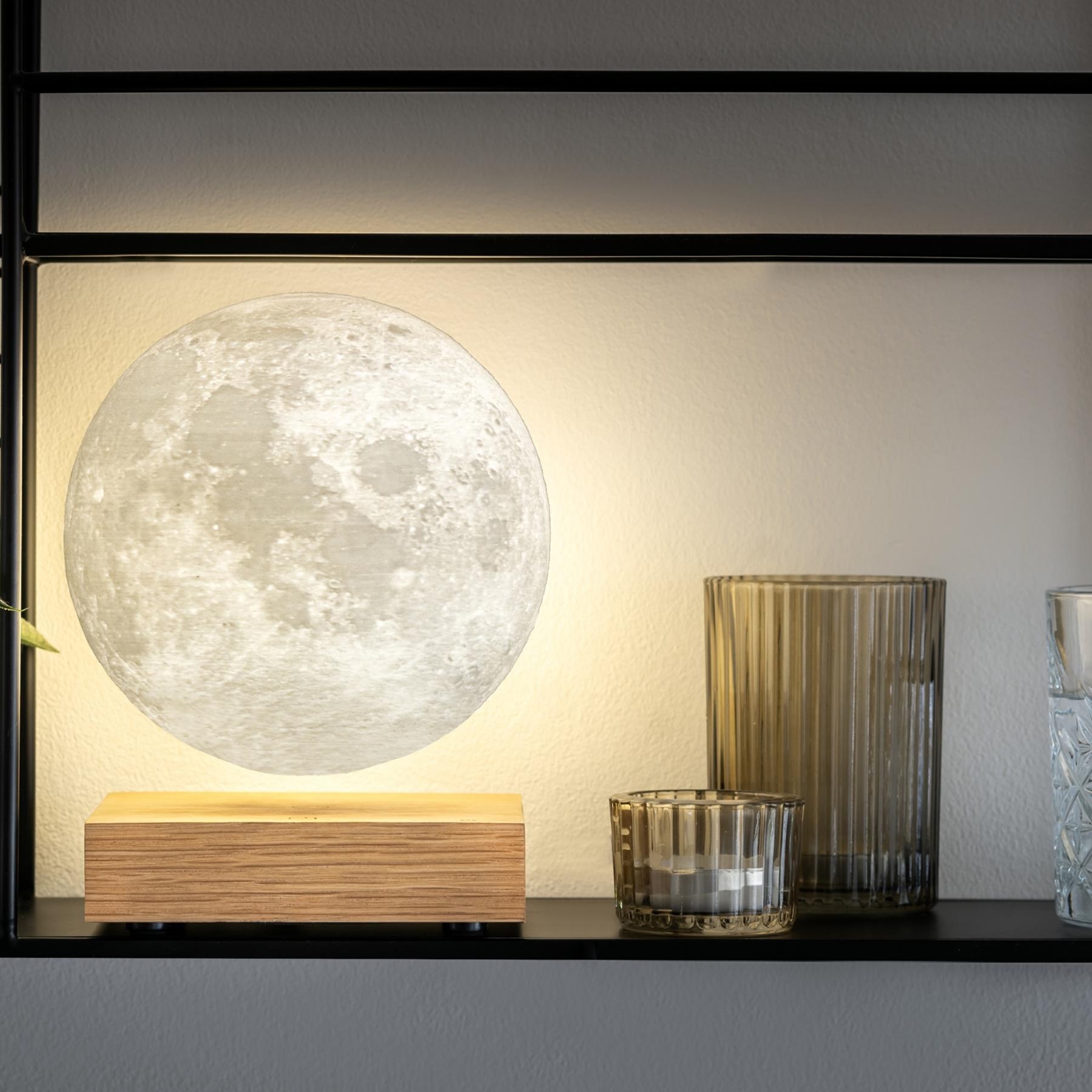 Gingko - Smart Moon Lamp - Witte es - 3D - Luxe zwevende maanlamp