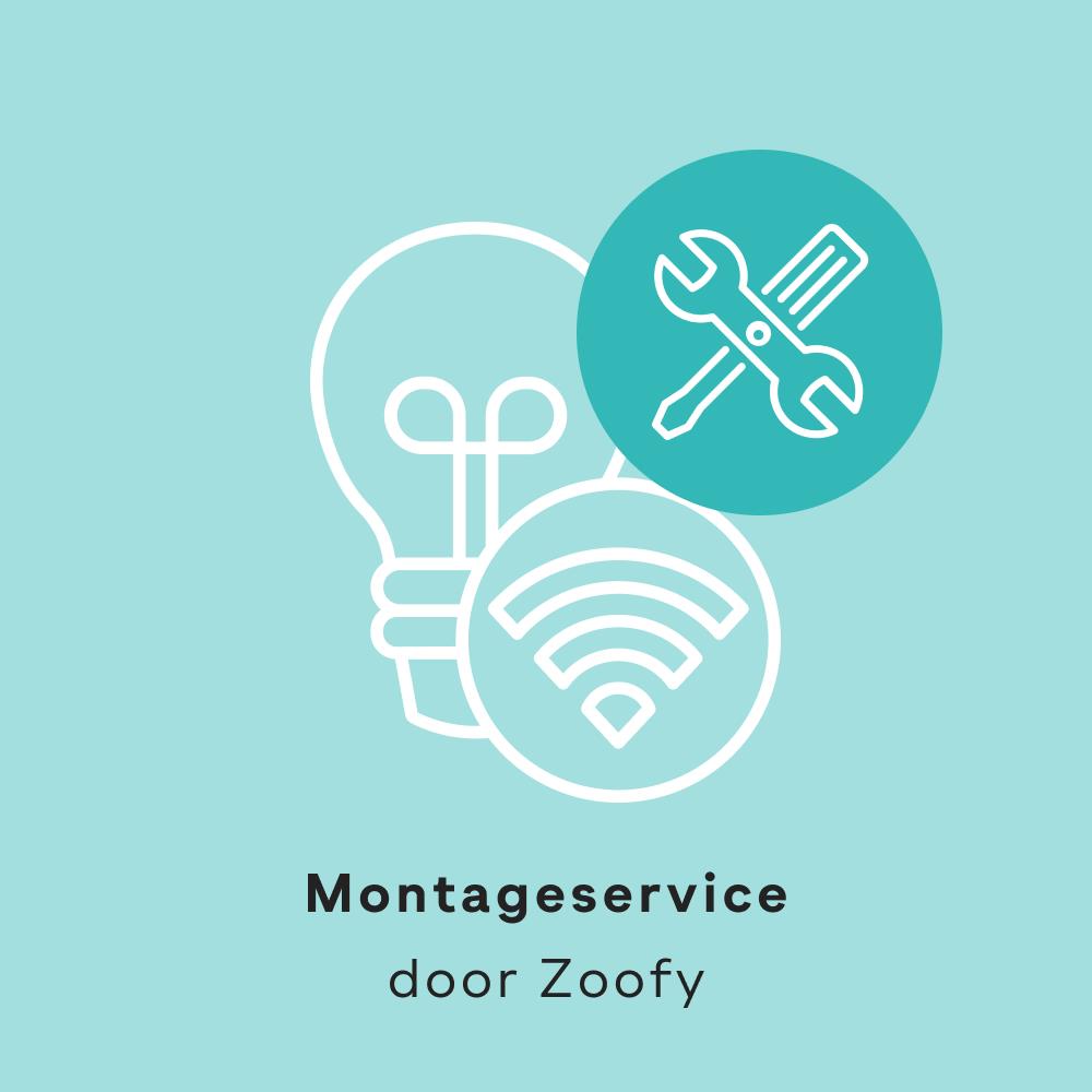 1x Installatie Phillips Hue - Door Zoofy in samenwerking met fonQ